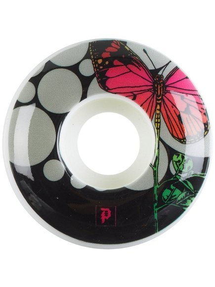 Primitive Räder - Rodriguez Cycles Weiß