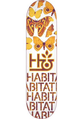 Lebensraum Deck - Insecta