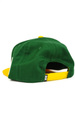 DGK Baseballkappe - Team Indica Snapback (grün)