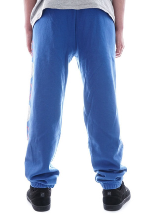 Spitfire Jogginghose - Big Head Swirl Combo Royal