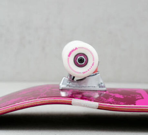 Vollständige Tafel Impala - Blossom