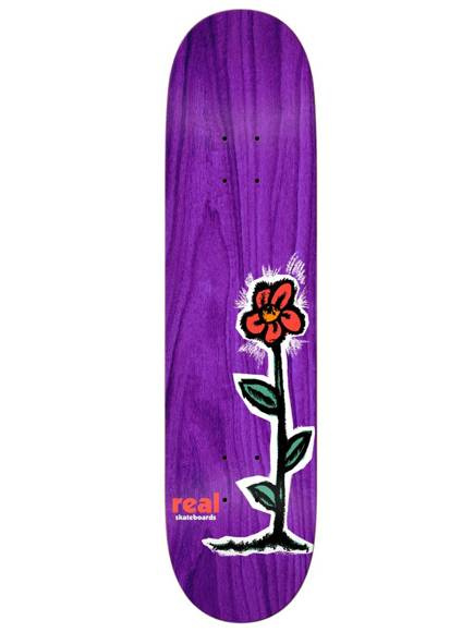 Deck Real - Nachwuchs R1 SM