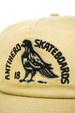 Antihero Baseballkappe - Clubhaus (hellbraun)