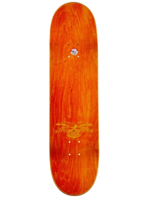 Deck Antiheld - Taylor GT DBX