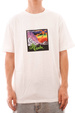 Volcom T-shirt - V Ent The Garden Bsc (weiß)