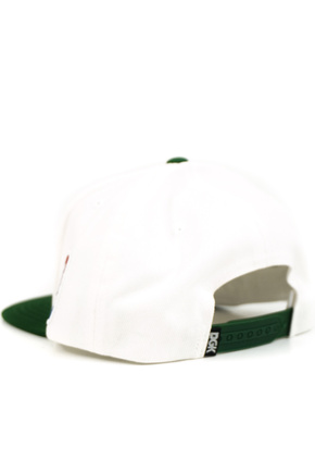 DGK Baseballkappe - Team Indica Snapback (weiß)