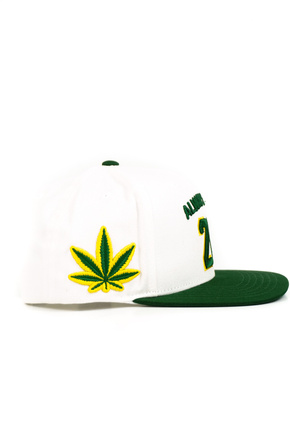DGK Baseballkappe - Team Indica Snapback (weiß)