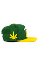 DGK Baseballkappe - Team Indica Snapback (grün)