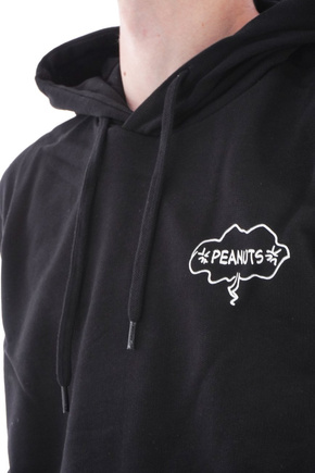 Element x Peanuts Slide Hoodie (schwarz)