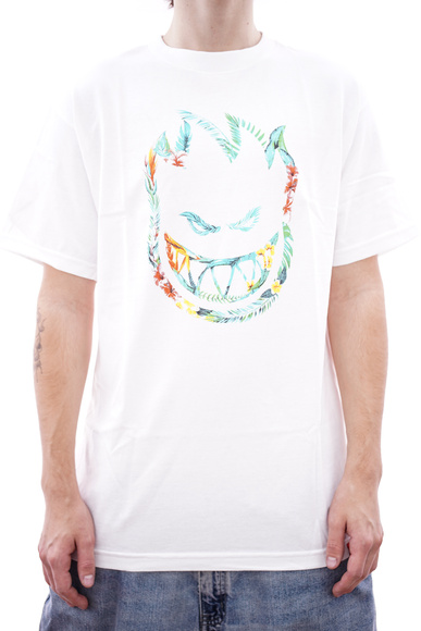 Spitfire T-shirt - BigHead (orange)